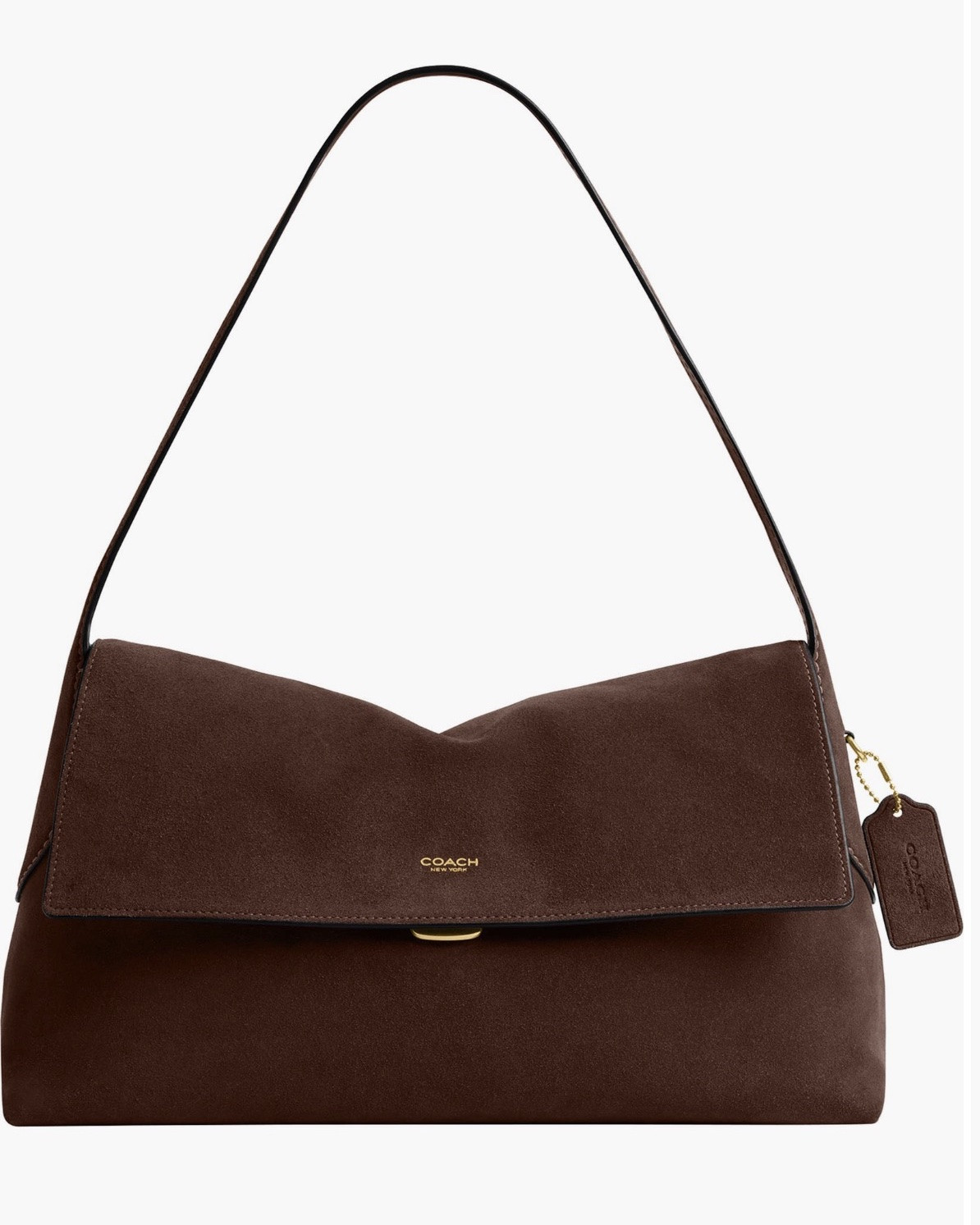 Look at this chocolate beauty!