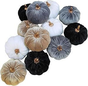 Winlyn 12 Pcs Small Assorted Faux Velvet Pumpkins Decorative Fabric Pumpkins in White Black Gray ... | Amazon (US)