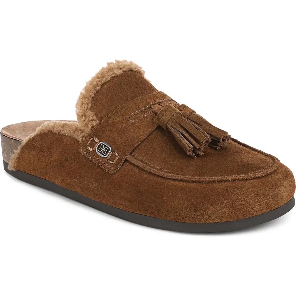 Sam Edelman Astrid Genuine Shearling Lined Mule in Warm Nutmeg at Nordstrom, Size 10 | Nordstrom