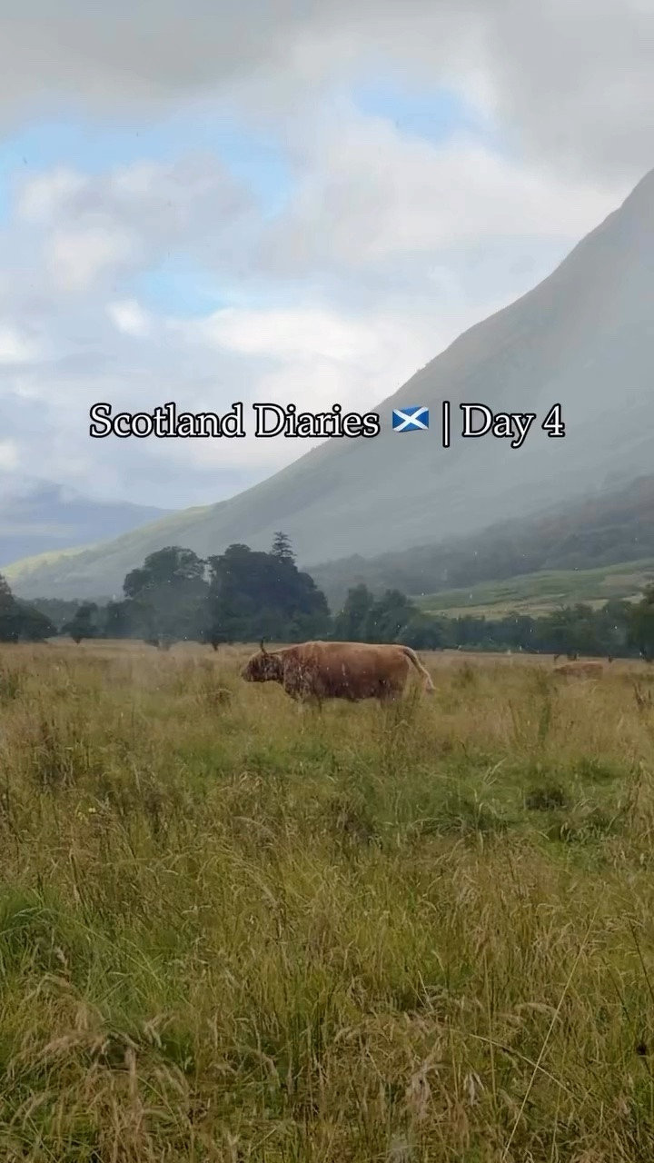 Scotland Diaries Day 4

#LTKvlog #LTKTravel #LTKstorytime