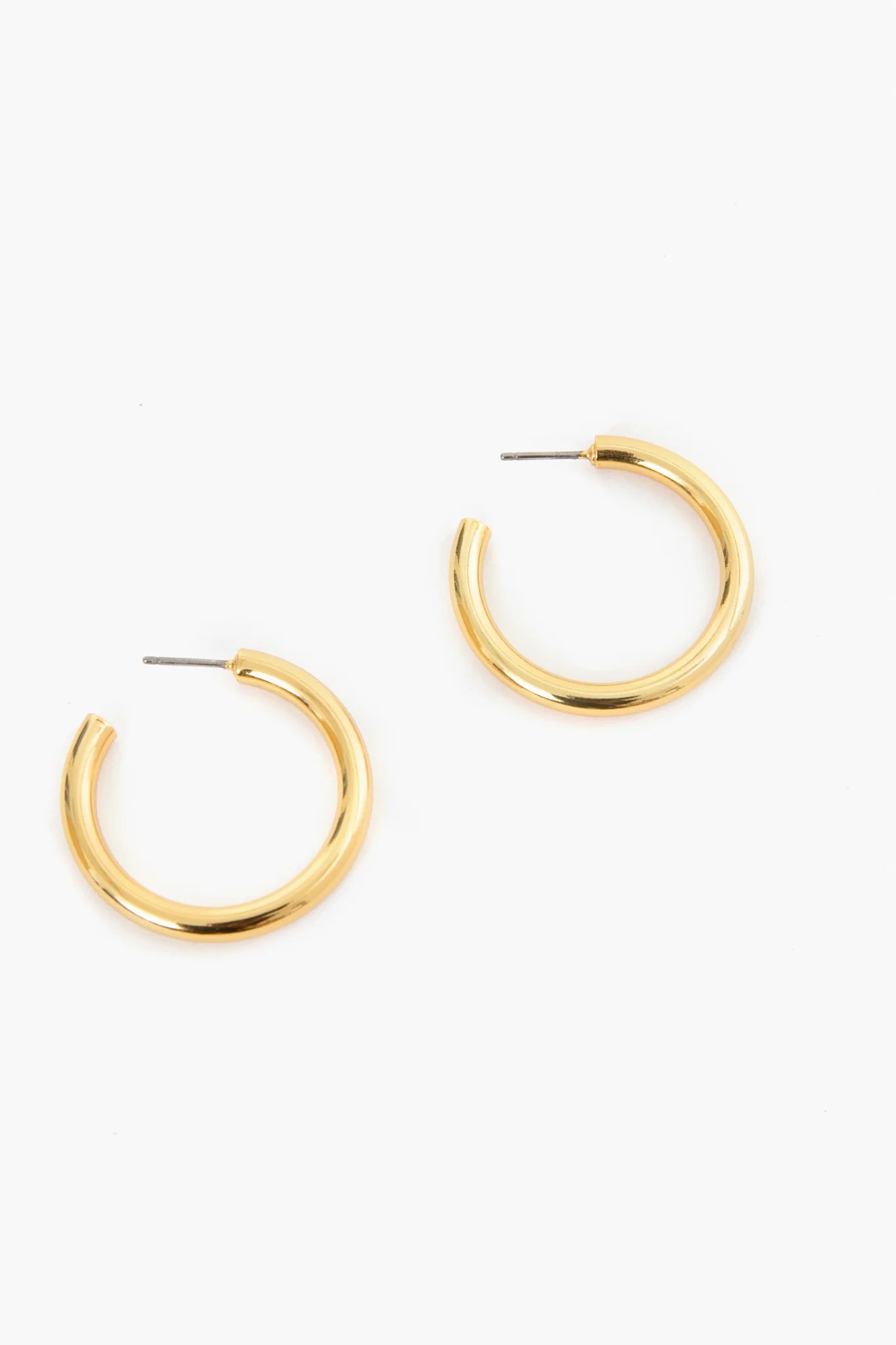 Gold Thick Hoop Earrings | Tuckernuck (US)