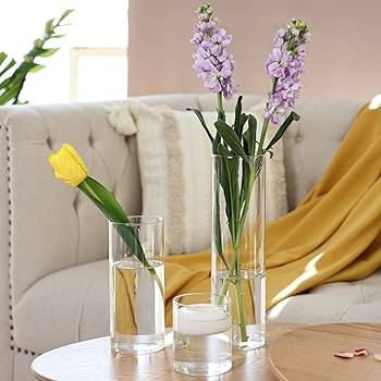 Visit the CUCUMI Store | Amazon (US)