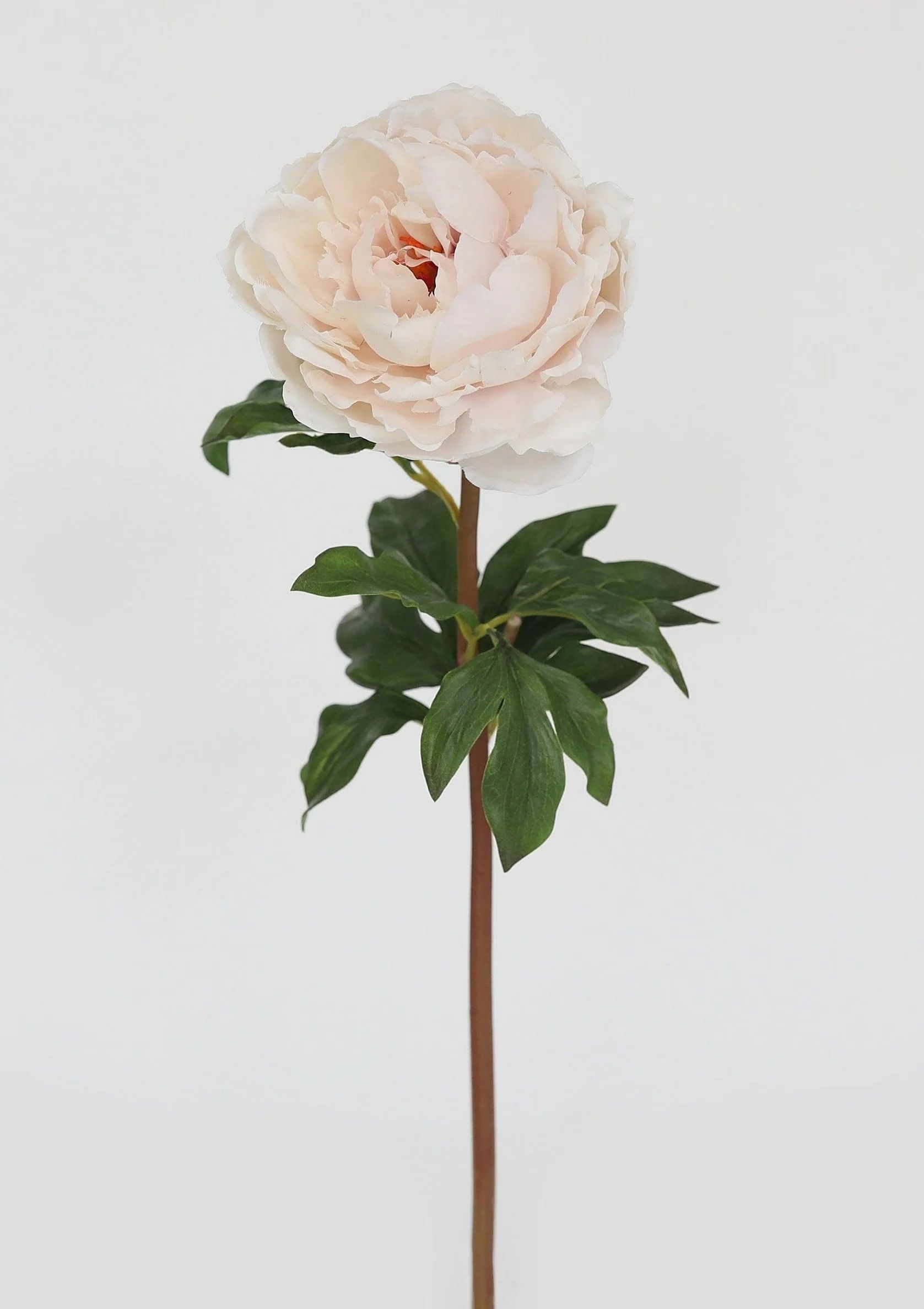 Faux Pink Whisper Peach Peony Stem | Real Touch Flowers at Afloral.com | Afloral