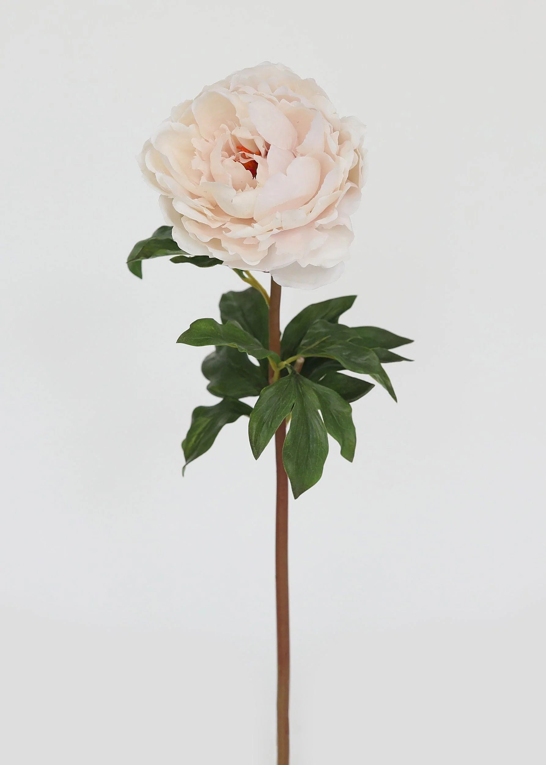 Faux Pink Whisper Peach Peony Stem | Real Touch Flowers at Afloral.com | Afloral