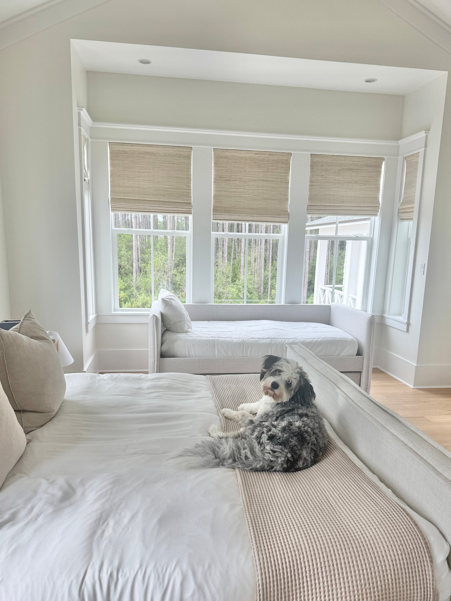 Added a day bed for when a 10 year old visitor who takes up a lot of room in the bed come in the room at 2 am. Chris or I will go sleep over there.

#LTKSaleAlert #LTKHome