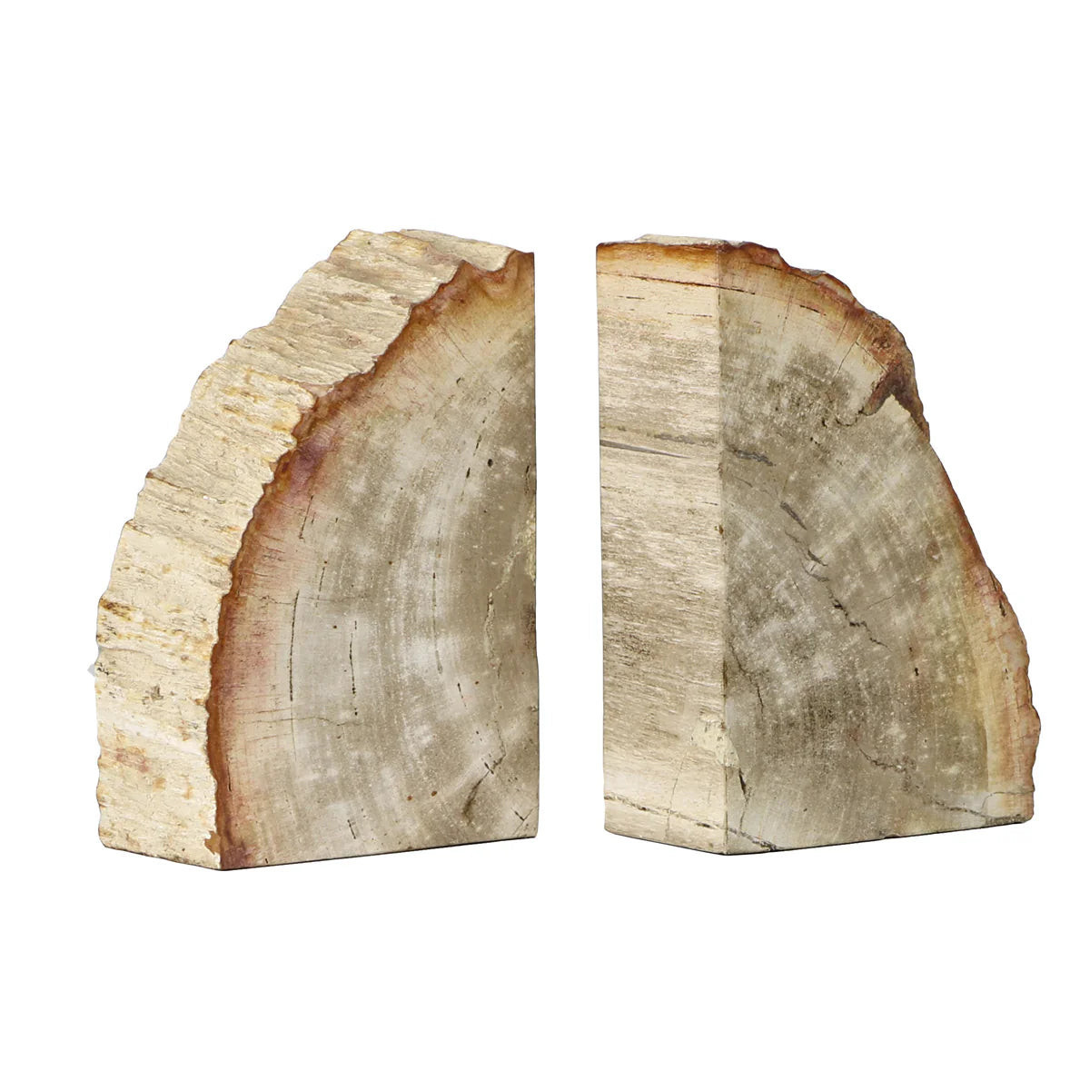 Petrified Wood Bookends | Heritage House
