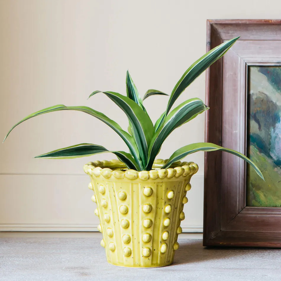 Yellow Bobble Plant Pot | Graham and Green