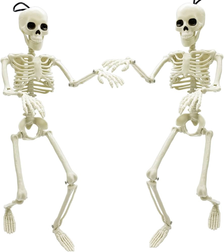 2 Pcs 16 Inch Halloween Posable Skeleton Decorations,Full Body Posable Joints Hanging Skeleton fo... | Amazon (US)