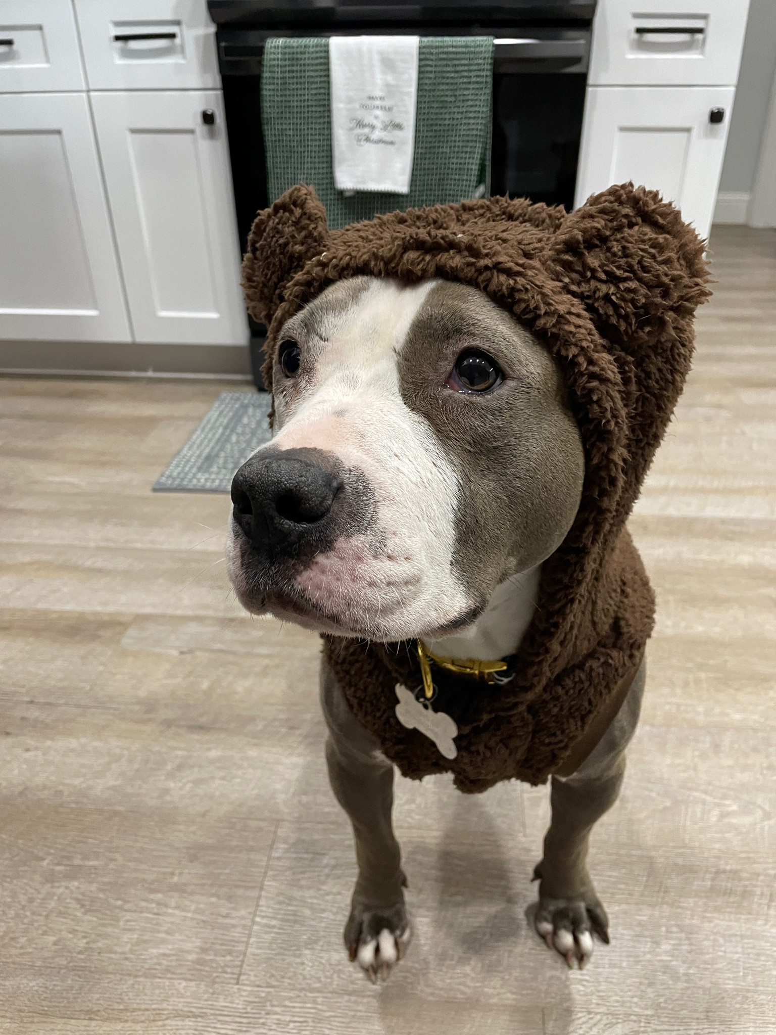 @target came in clutch 🧸