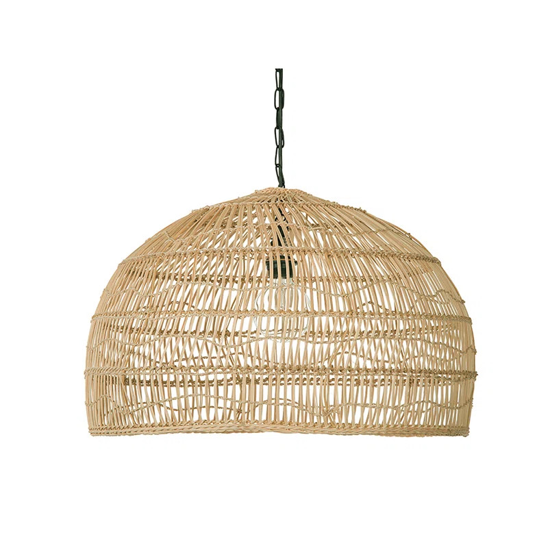Aletse 1 - Light Single Dome Pendant | Wayfair North America