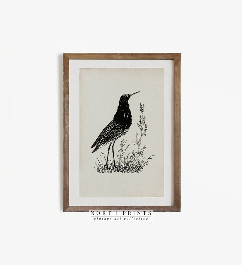 Vintage Bird Print | Antique Bird Illustration | Minimalist Sketch Digital PRINTABLE #247 | Etsy (US)
