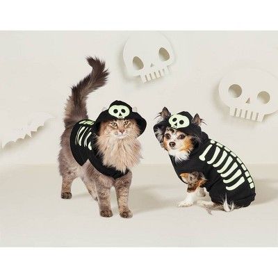Skeleton Glow Hoodie Halloween Dog and Cat Costume - Hyde & EEK! Boutique™ | Target