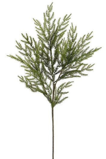 Spruce Spray | Gatehouse No.1