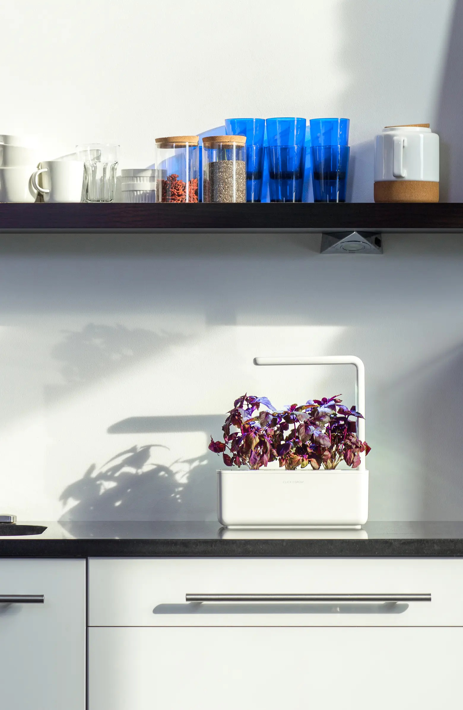 Click & Grow Smart Garden 3 Self Watering Indoor Garden | Nordstrom | Nordstrom