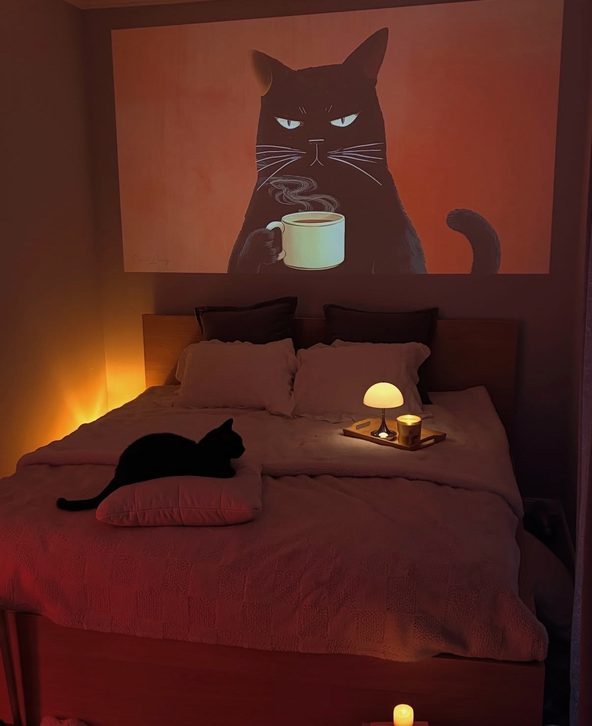 Cat bed🤎🐈‍⬛

#LTKHome