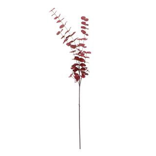 Tall Burgundy Eucalyptus Stem by Ashland® | Michaels | Michaels Stores