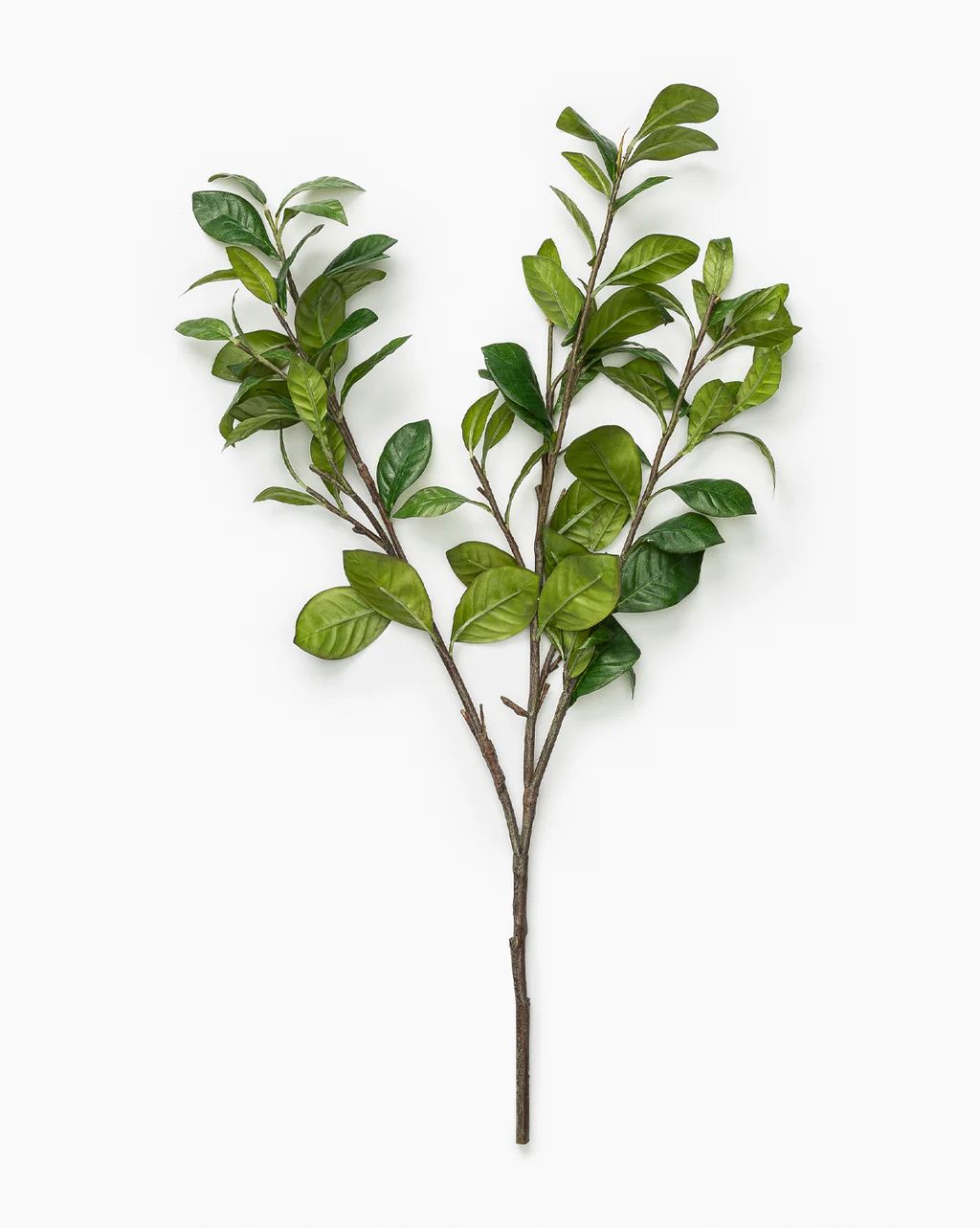 Faux Gardenia Leaf Branch | McGee & Co.