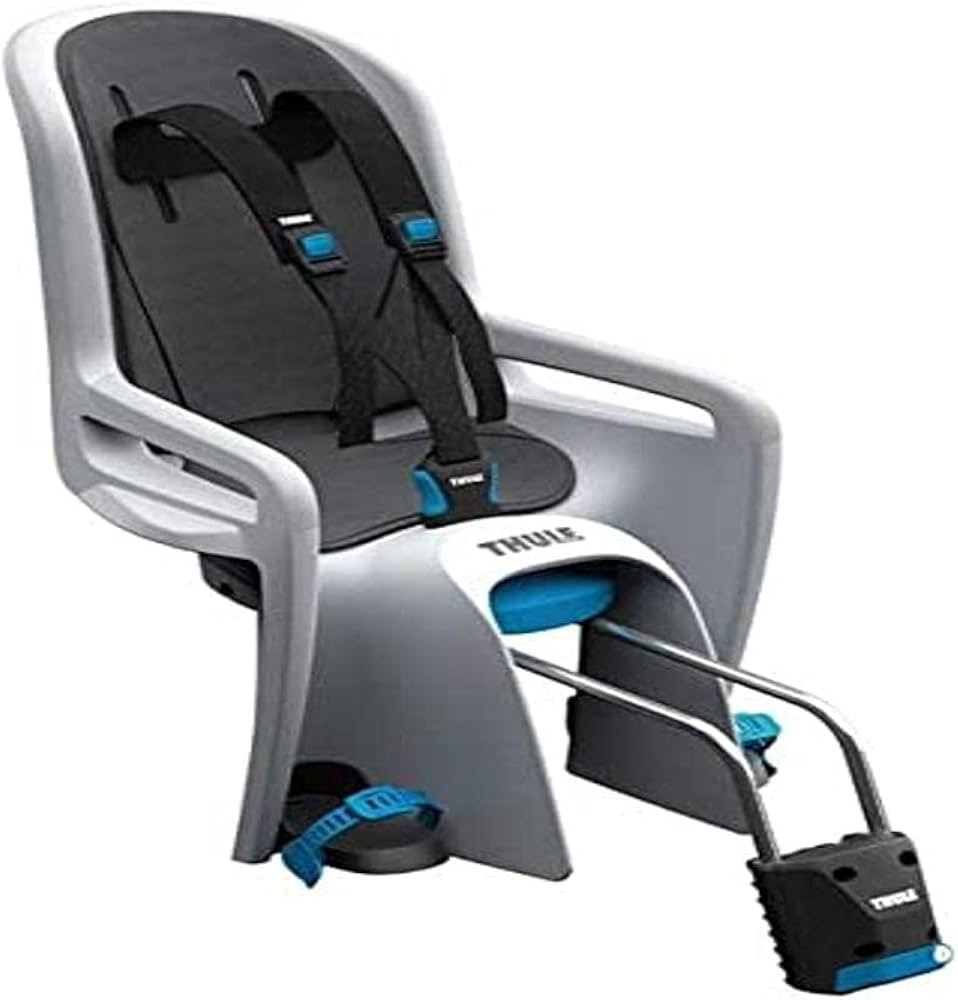 Thule RideAlong Child Bike Seat | Amazon (US)