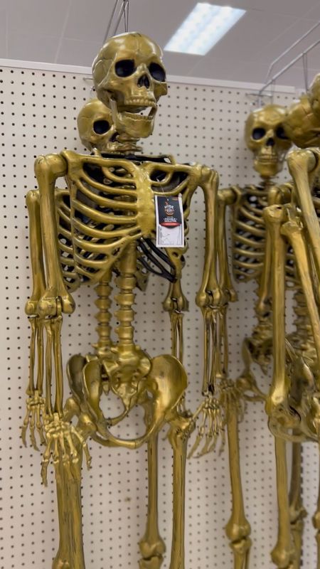 How fun is this 5 foot gold skeleton from Target?!💀 #skeletondecor #halloweendecor #targetfinds #targethalloween

#LTKSeasonal #LTKHalloween #LTKhome