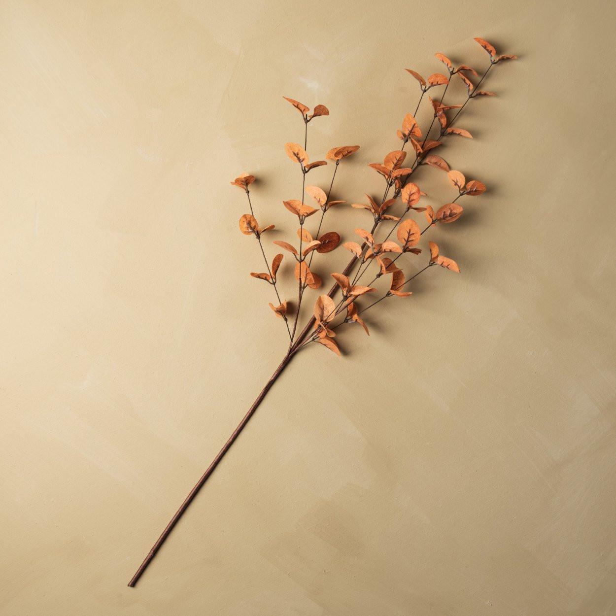 34" Light Sienna Eucalyptus Stem | Magnolia