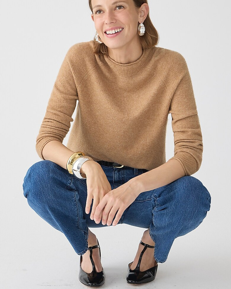 Rollneck sweater in Supersoft yarn | J. Crew US