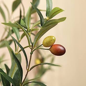 Kazeila Artificial Olive Tree 6FT Tall Faux Silk Plant for Home Office Decor Indoor Fake Potted T... | Amazon (US)