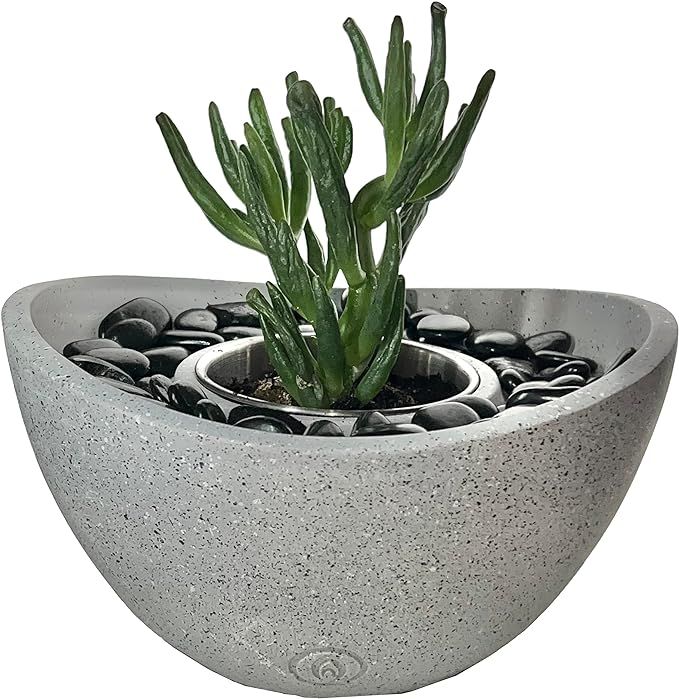 Modern Decor Concrete Planter, Oval Shape Ideal for Zen and feng Shui Decor, Tablet top & Kitchen... | Amazon (US)