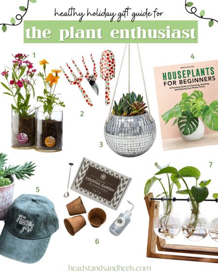 My 2022 Healthy holiday gift guide is now live on the blog and this one is all about the plant enthusiast in your life! From plant accessories to houseplant appreciation, these are the perfect Christmas gifts 🎁 

#LTKHoliday #LTKhome #LTKSeasonal