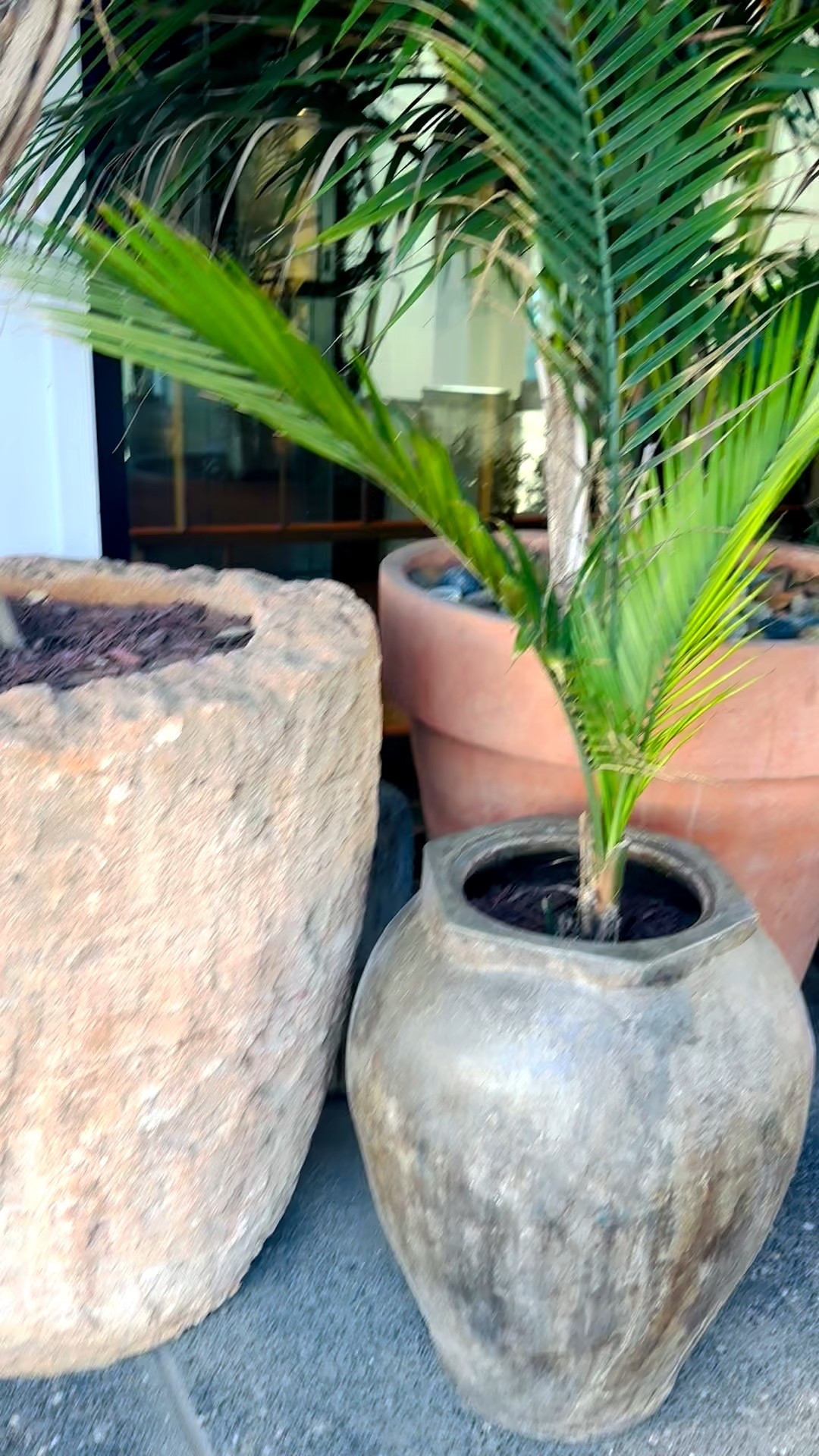 Good morning. #planters

#LTKHome