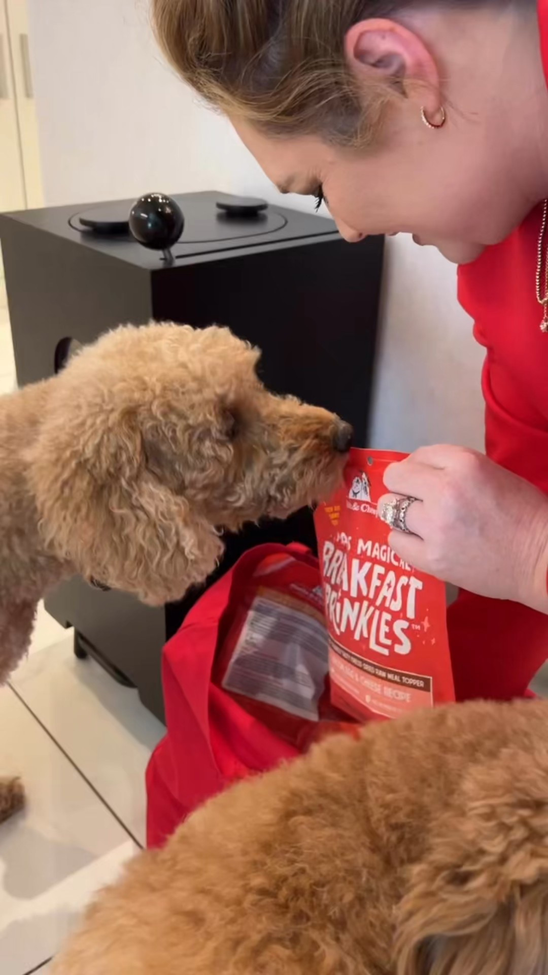#AD — does anybody else’s dogs check their grocery bags as if they are TSA agents?! The girls make sure to do an extra check when I bring home @stellandchewys from @target! Don’t forget about your pups this holiday season and get them some Stella and Chewys!!! #StellaAndChewys #StellaAtTarget #TargetPartner 