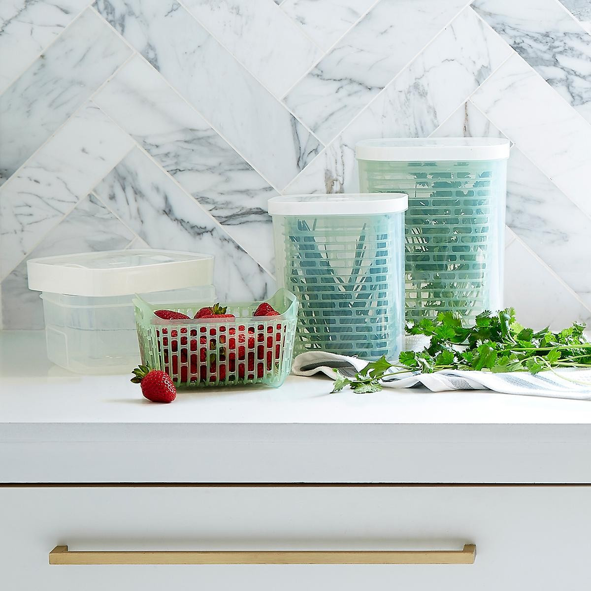 1.6 qt. greensaver Produce Keeper | The Container Store