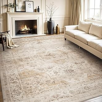 SAFAVIEH Evoke Collection Area Rug - 9' x 12', Ivory & Taupe, Oriental Distressed Design, Non-She... | Amazon (US)