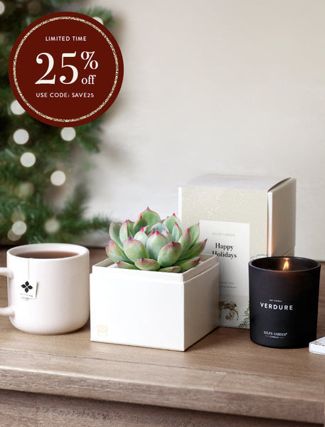 Holiday Bliss Gift Set | Lula's Garden