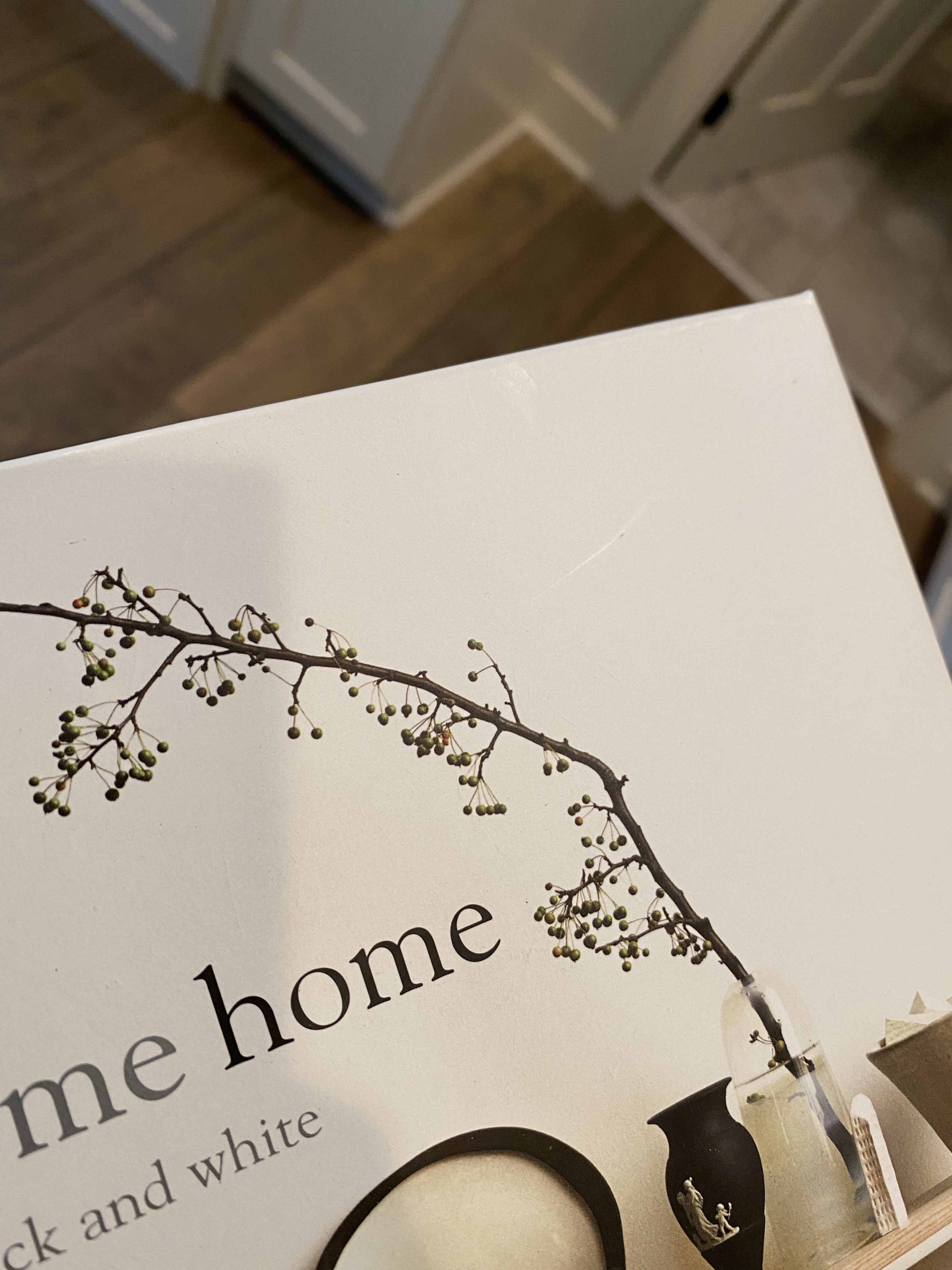 Monochrome Home: Elegant Interiors in Black and White | Amazon (US)