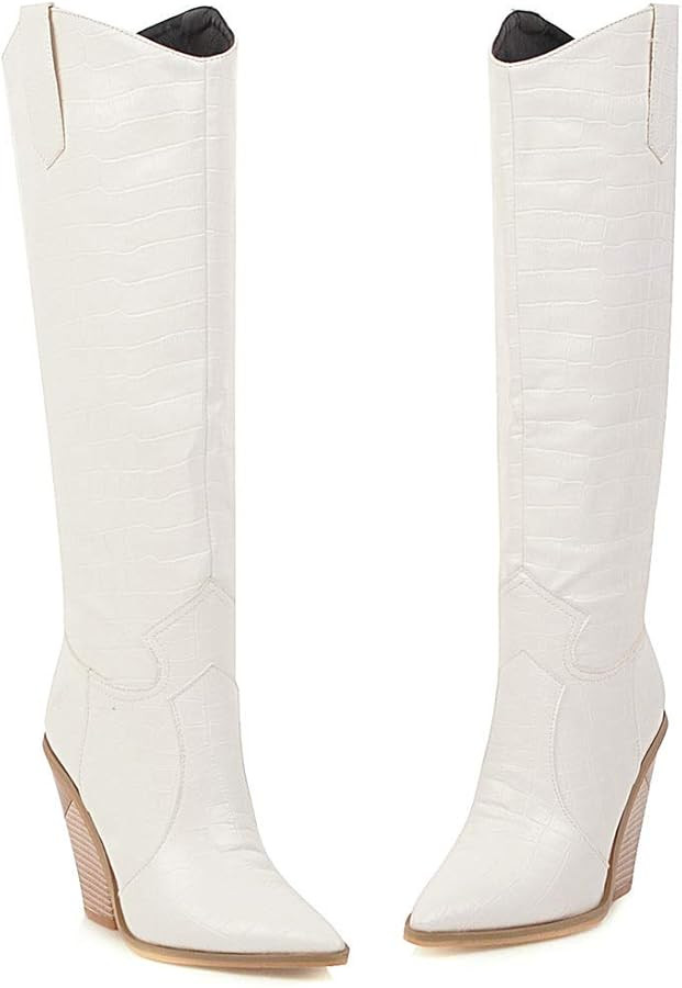 Richealnana Women's Western Cowboy Boots Pointed Toe Wedge Chunky Heel Pull-On Knee High Cowgirl ... | Amazon (US)