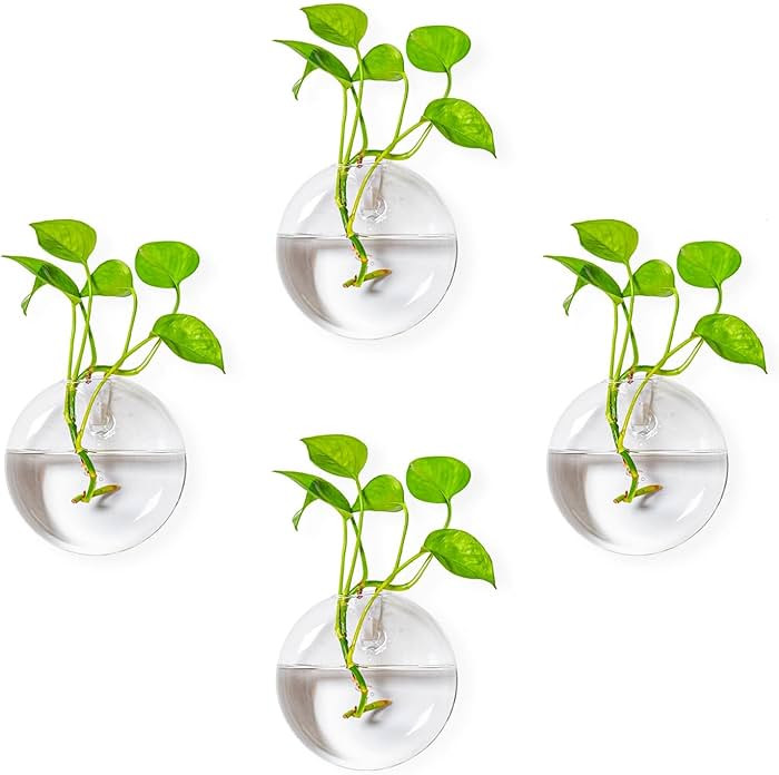 Wall Hanging Planter, 4 PCS Glass Planters Wall Vase for Flower Propagating Hydroponics Plants, P... | Amazon (US)