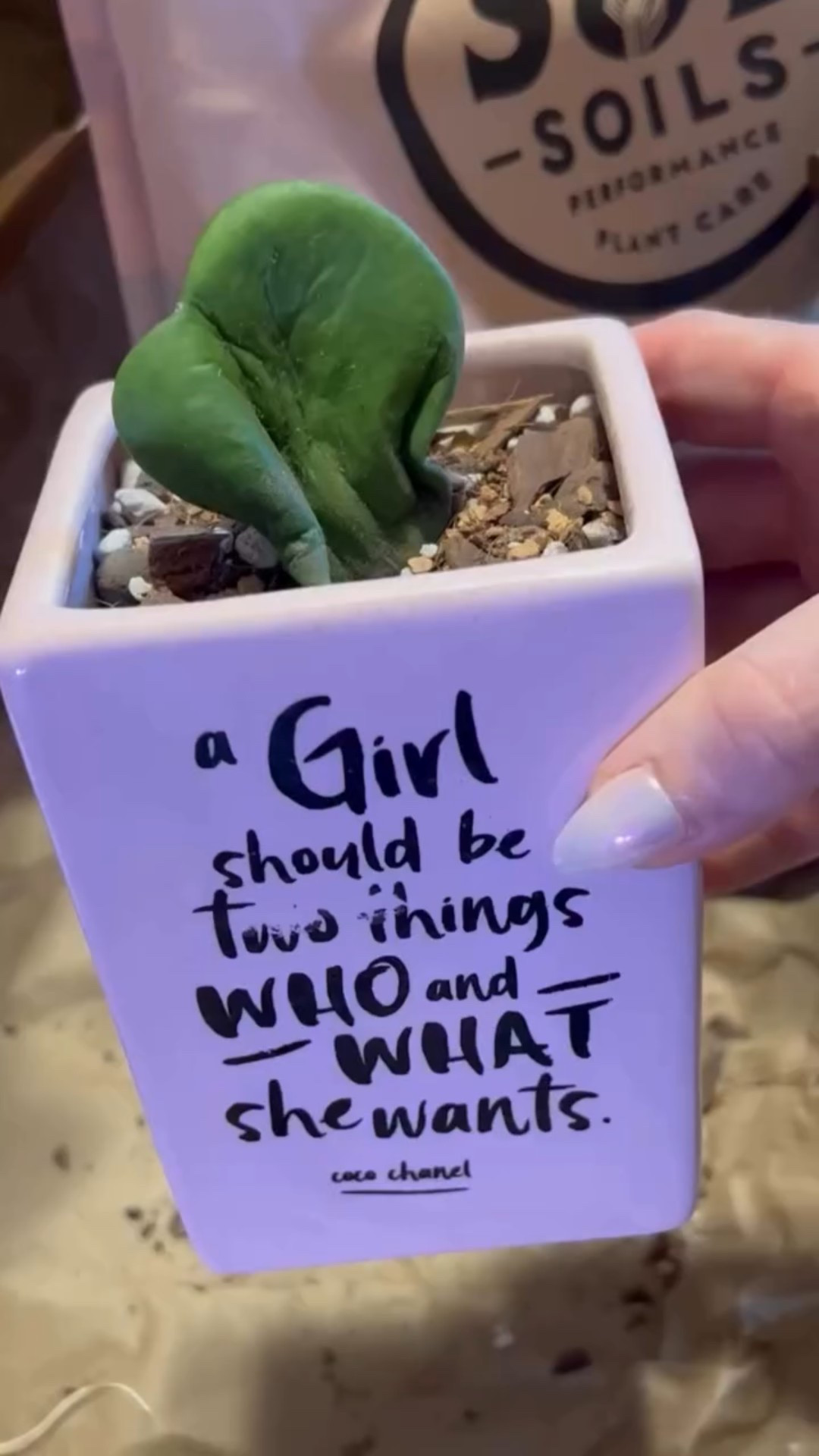 audio on girlies ✨ a quote for you featuring my $1 thrift store planter that was too cute to leave at the store! 

💖 plant mom mode activated - shop my favorite plants, soil, and more via my LTK shop: banannie 

#TheBanannieDiaries #TheBanannieDiariesByAnnie #plantparents #plantmama #plantmom #plantingseason #houseplants #cocochanel #iconicquotes #cocochanelquote #pinkplanter #plantersofinstagram #instagramplants #plantsplantsplants