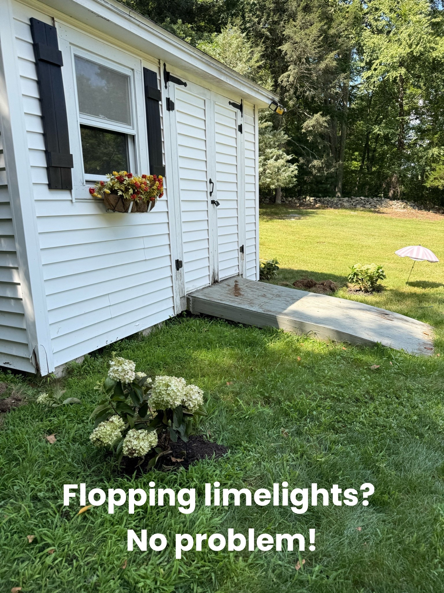 My limelight’s were literally laying on the ground but these stakes work wonders!

#LTKdayinmylife #LTKHome #LTKSeasonal