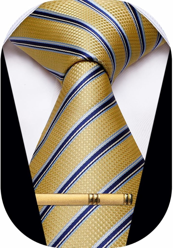 Men's Neckties Striped Tie and Plaid Neckties for Men Woven Silk Tie Gold Tie Clip Set | Amazon (US)