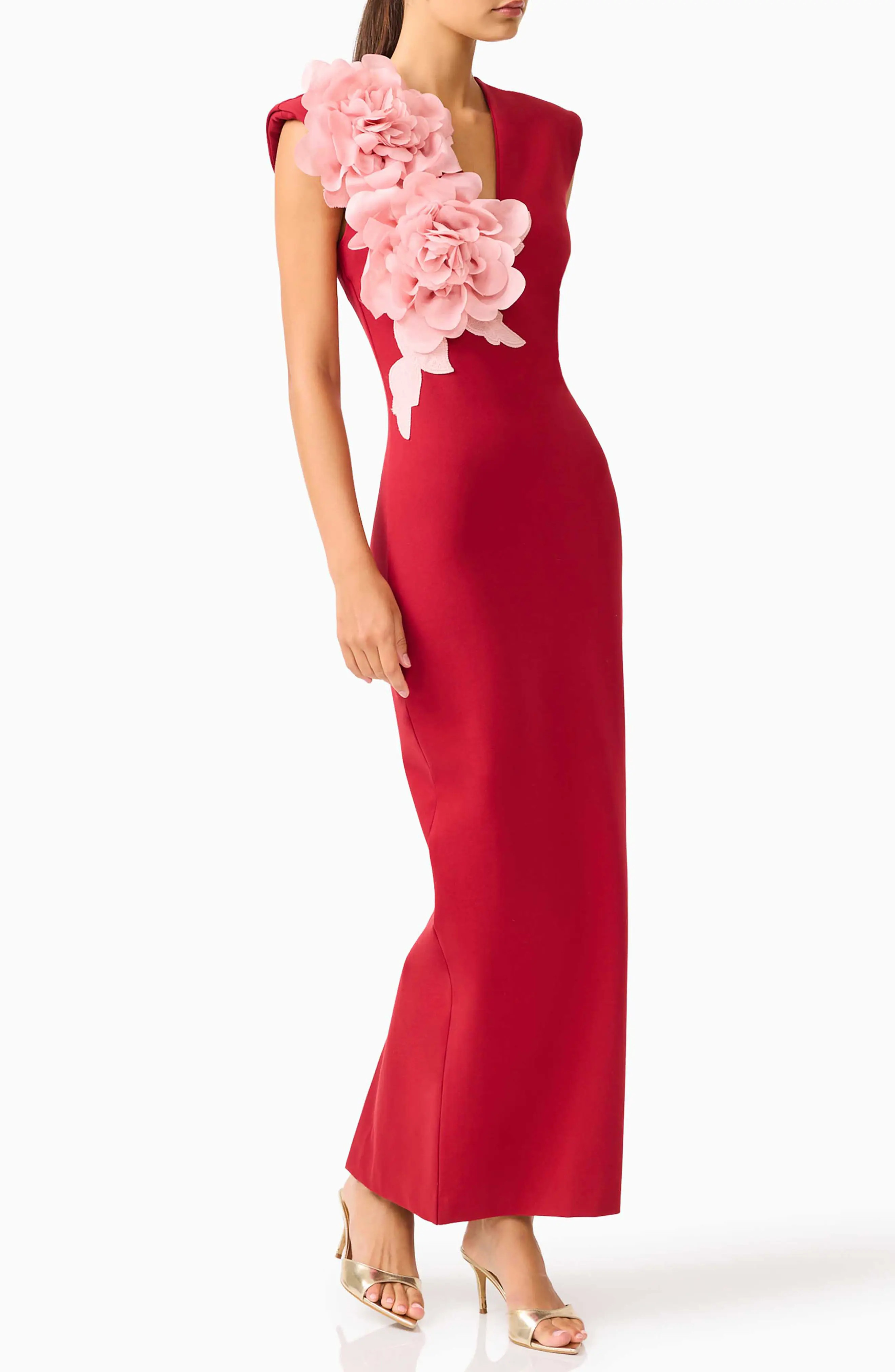 Zahara Floral Appliqu\u00e9 Sleeveless Gown (Women) | Nordstrom | Nordstrom