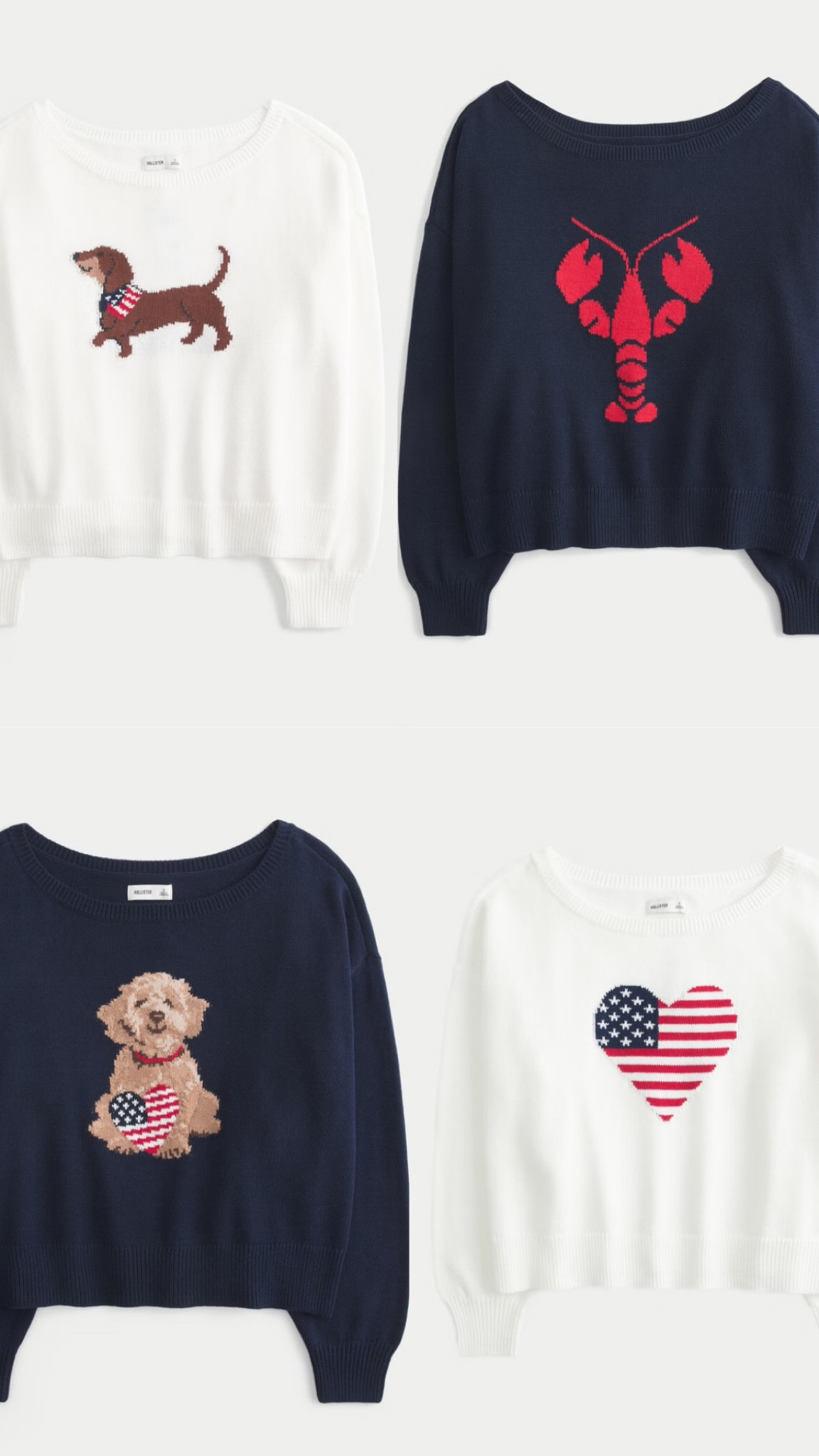 Dachshund Fourth of July crewneck 