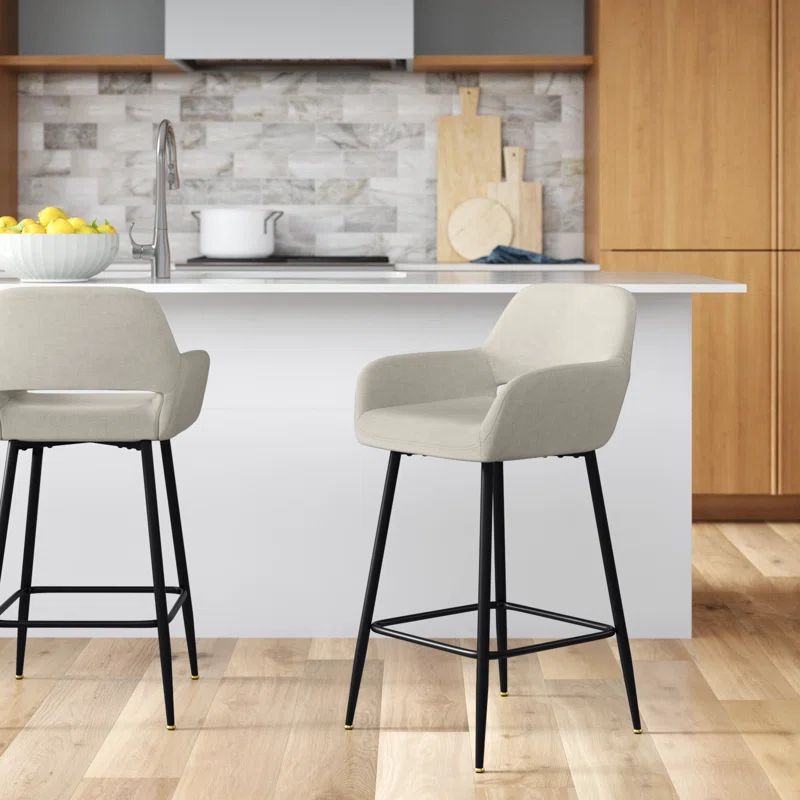 Andriana 24'' Counter Stool | Wayfair North America