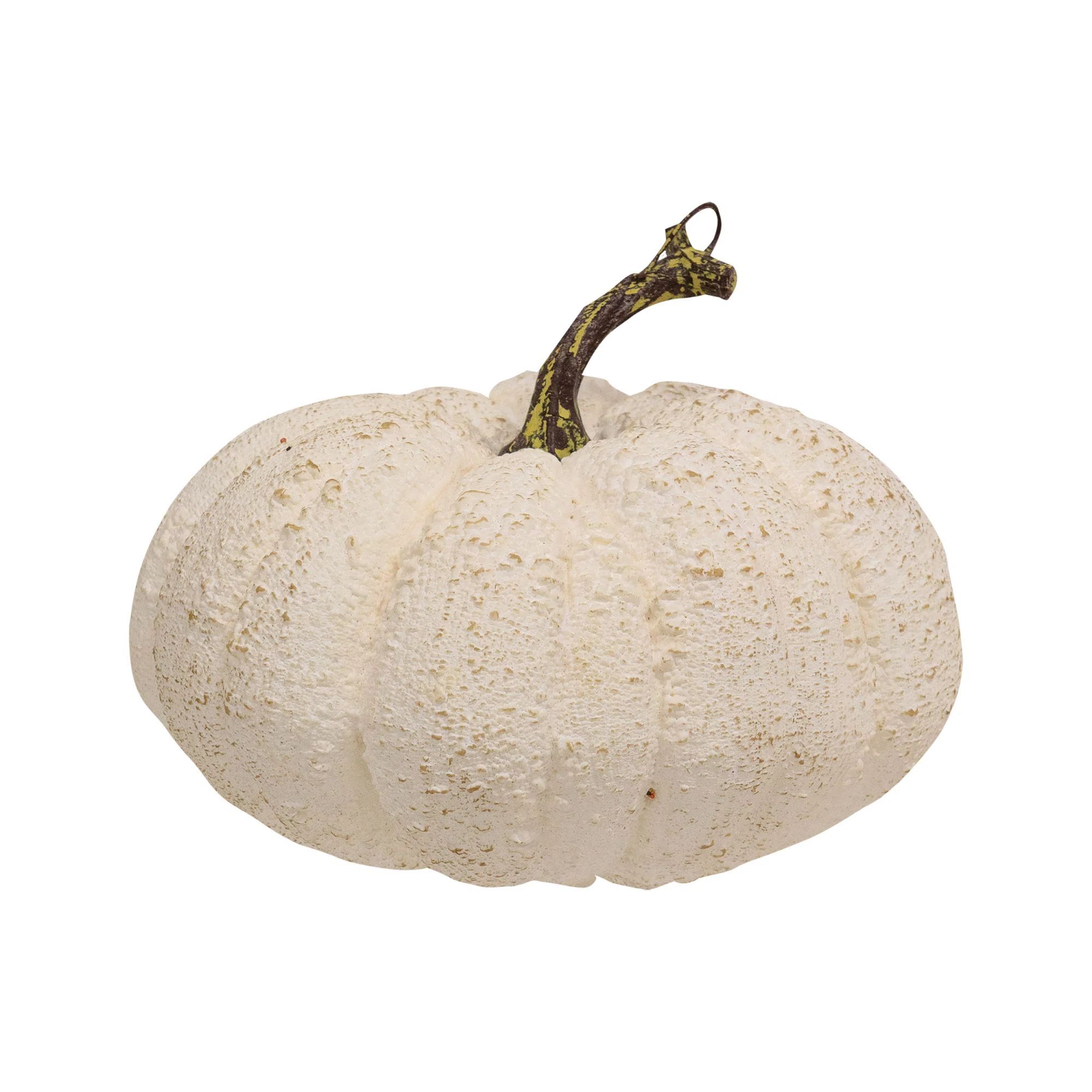 The Holiday Aisle® Full Moon Pumpkin | Wayfair | Wayfair North America