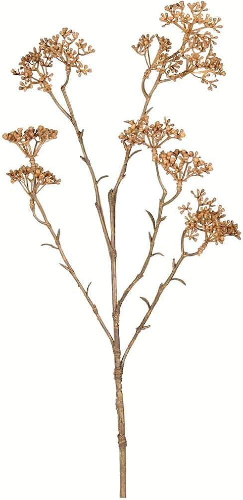 25 Beige Patrinia Spray 4/Pk | Amazon (US)