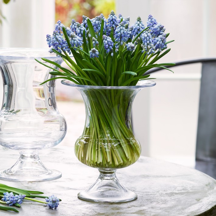 Old English Glass Vase | Williams-Sonoma