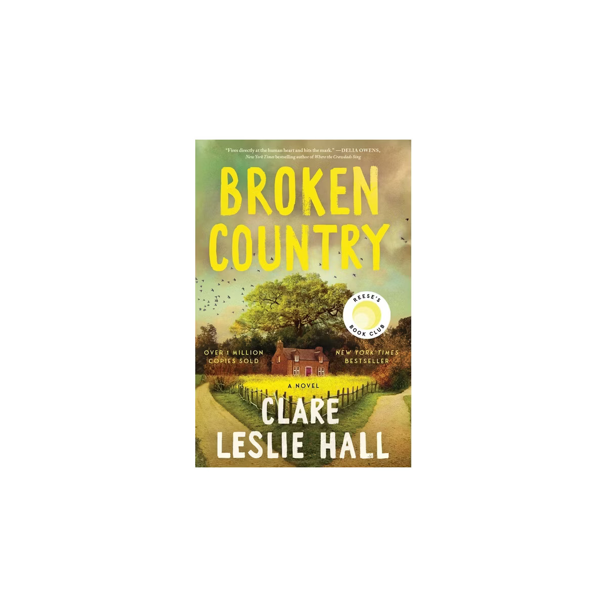 Broken Country - by Clare Leslie Hall (Hardcover) | Target