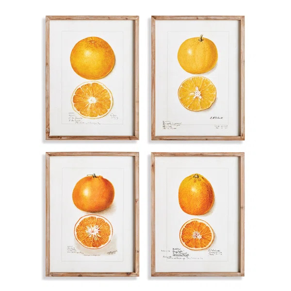 " Citrus Study " 4 - Pieces | Wayfair North America