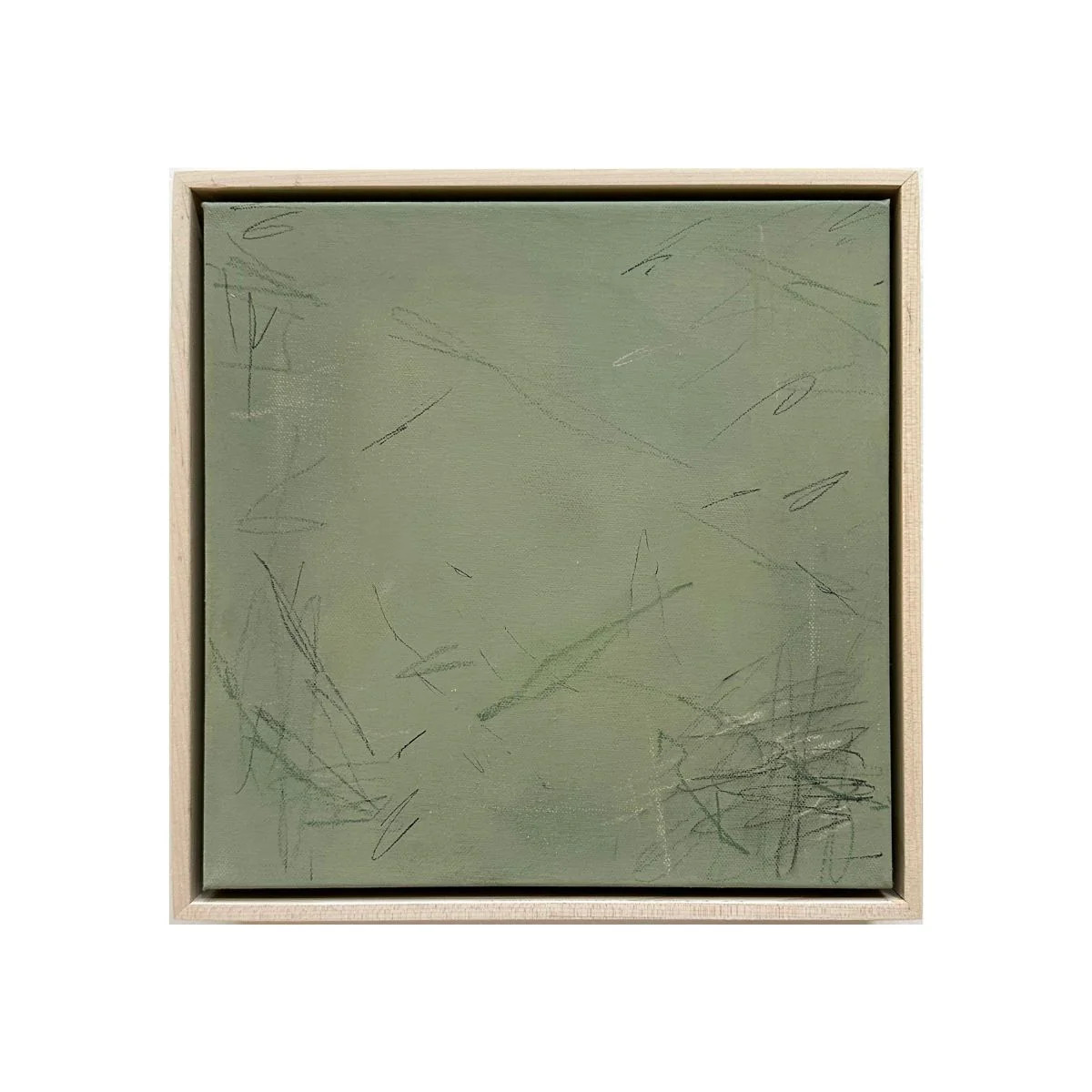 Petite LI by Chelsea Sommerfeld | Paloma & Co.