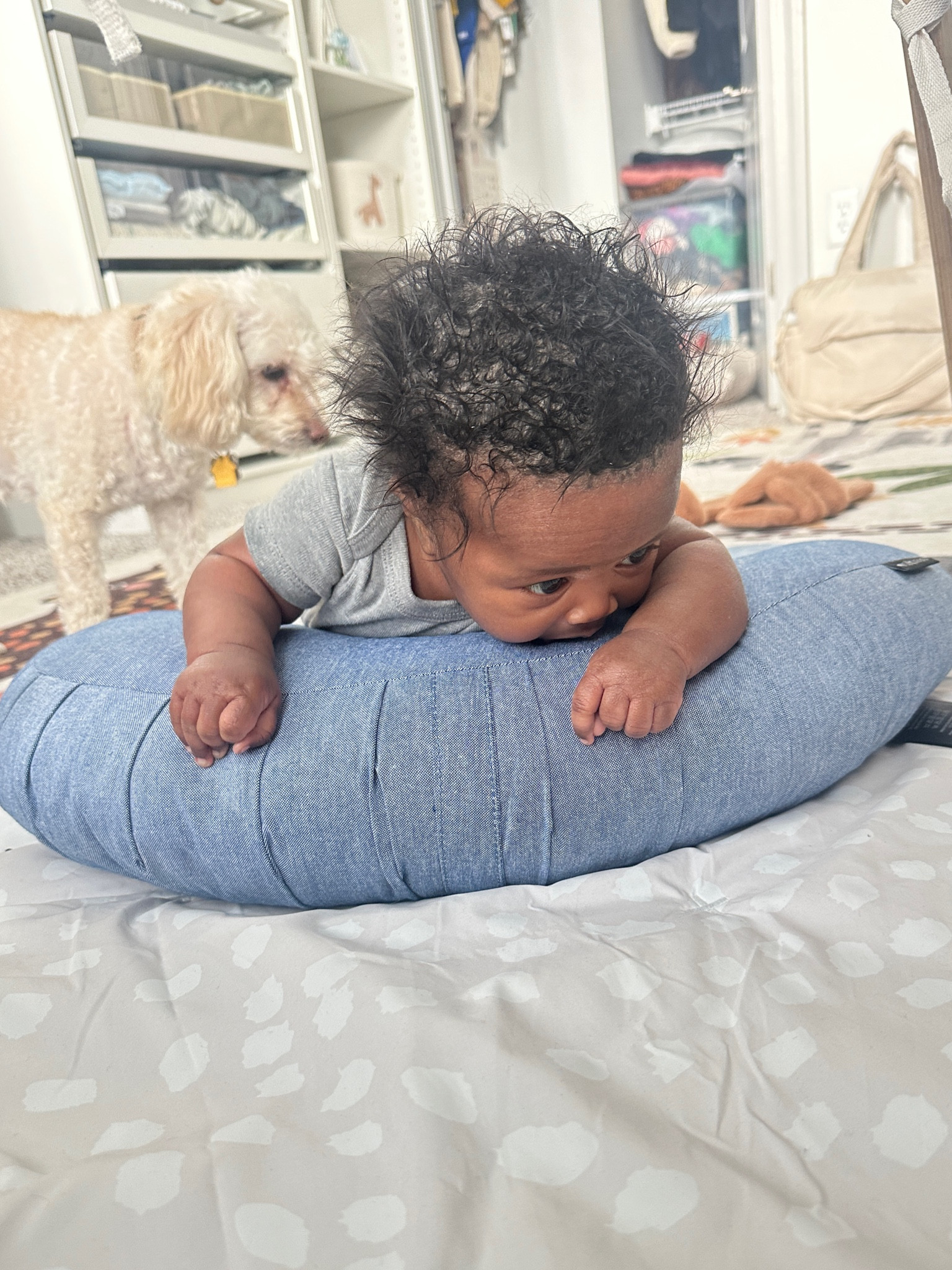 My baby loves this dock a tot wedge for tummy time! I also use it for breastfeeding or just regular bottle feeding to prop him up. It’s currently on sale too! 

#LTKSaleAlert #LTKBaby