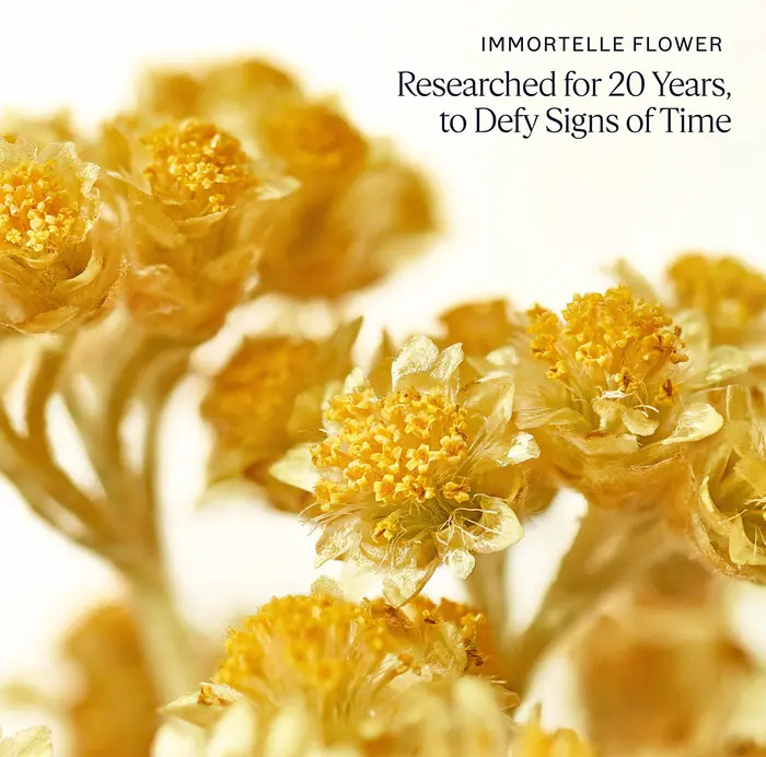 L'Occitane Immortelle Divine Cr\u00e8me Face Moisturizer | Nordstrom | Nordstrom
